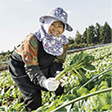 株式会社茨城もぎたてファクトリー